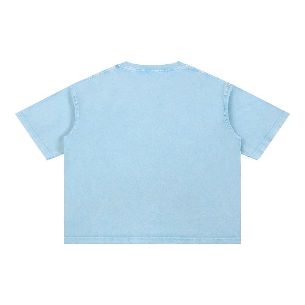 Plain back of the Labrador t-shirt in Sky Blue