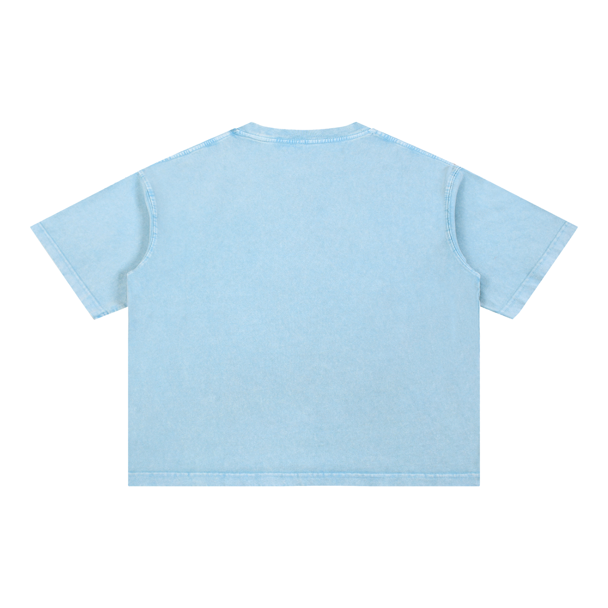 Plain back of the Labrador t-shirt in Sky Blue